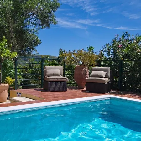 Aliona Villa