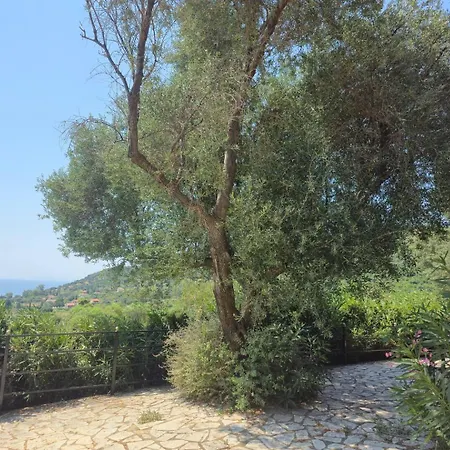 Aliona Villa Kateleios